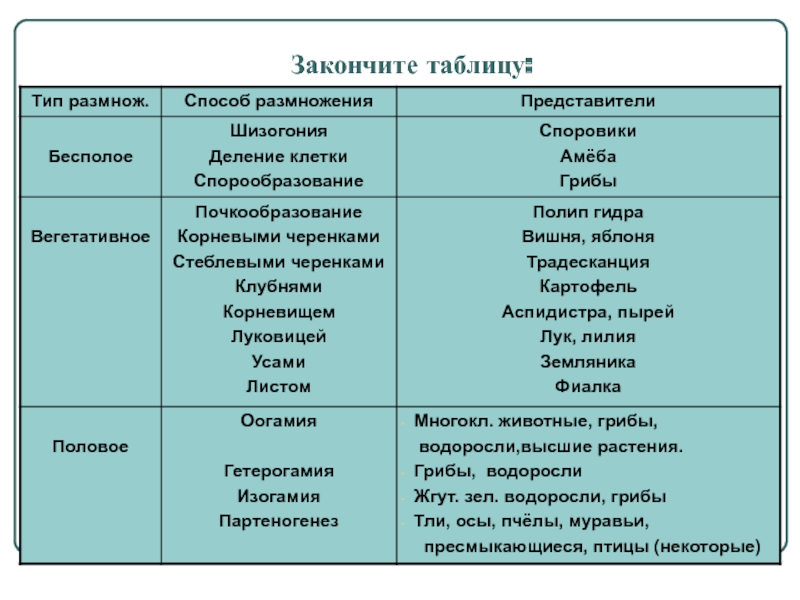 Наркоплощадки кракен