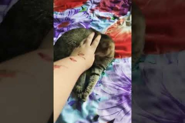 Кракен маркет что это такое