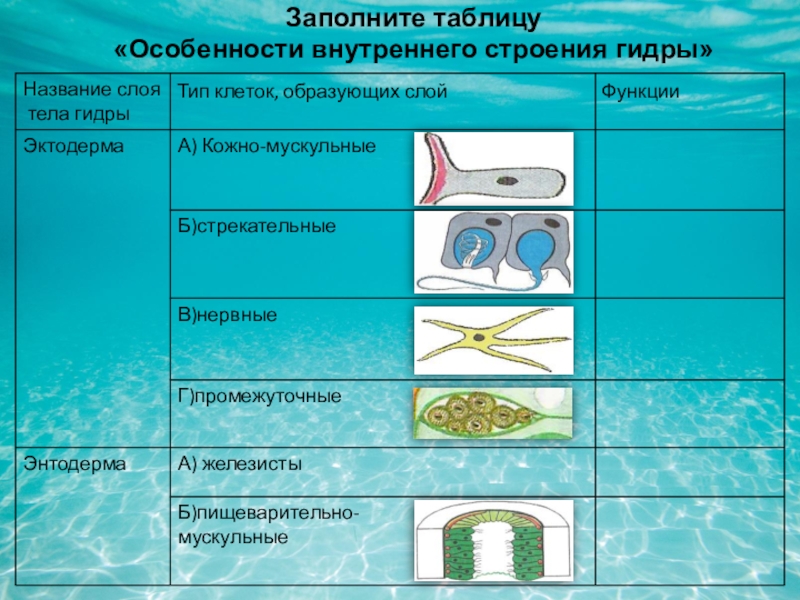 Как купить через кракен